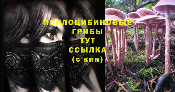 мяу мяу кристалл Бородино