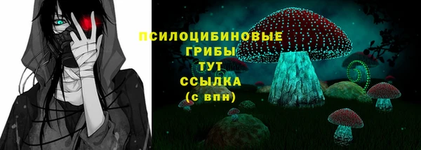 2c-b Богородицк