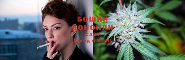 2c-b Богородицк