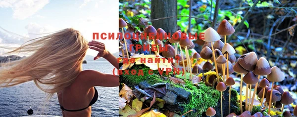 круглые Богданович