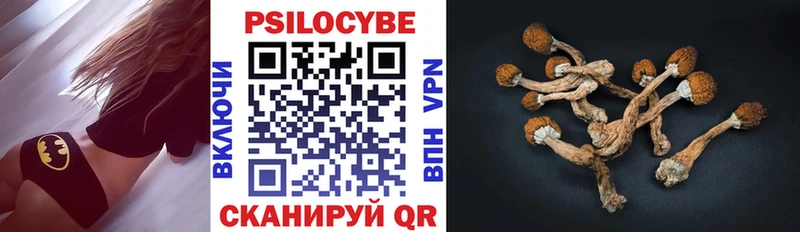 закладки  Балтийск  Галлюциногенные грибы Magic Shrooms 